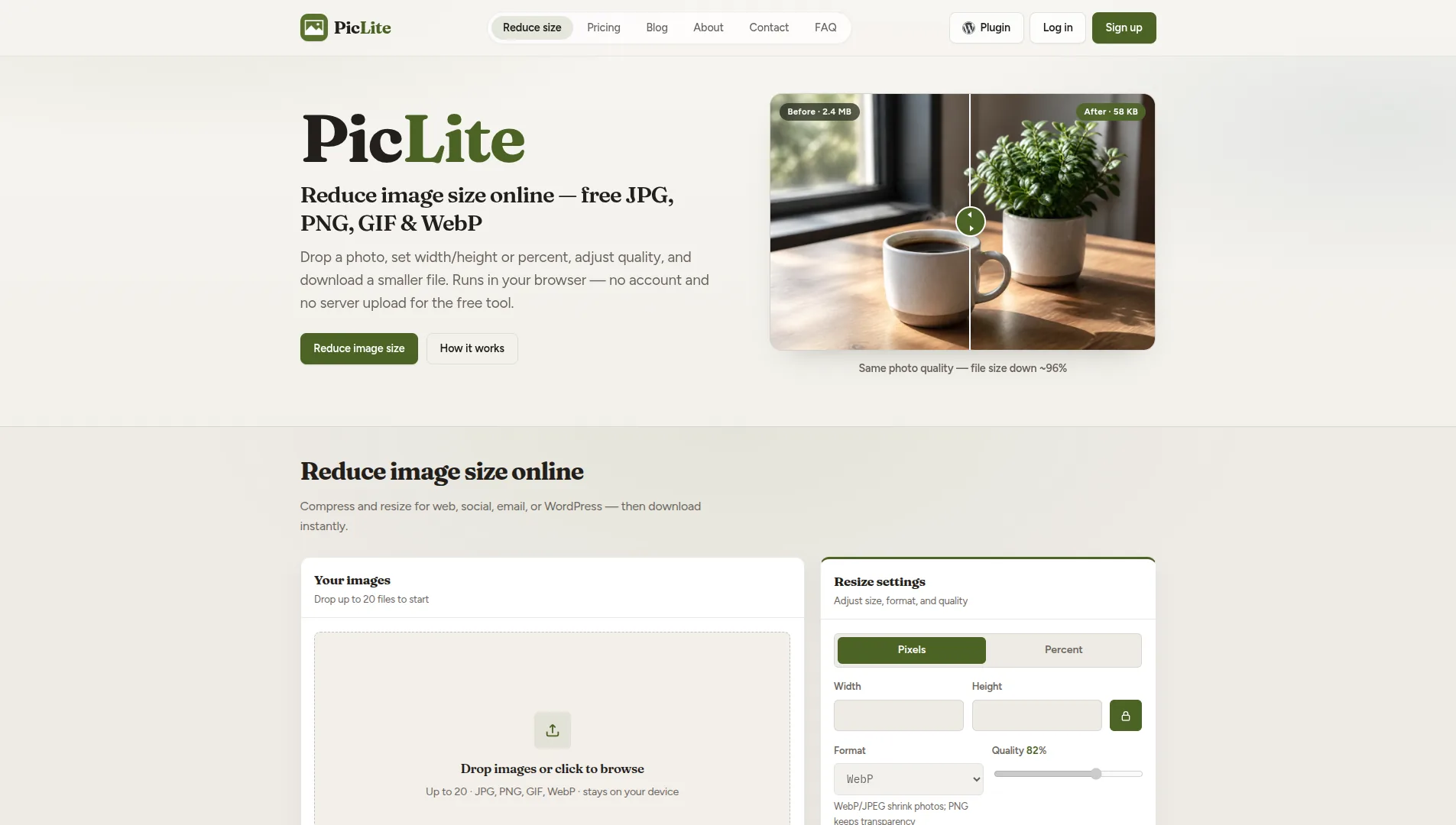 PicLite platform detail interface preview